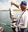 Fishing Rod Bandit