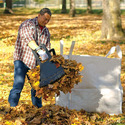 Photo of man in bluejeans and plaid shirt picking up leaves with leaf grabber to put in large white leaf  bag next to him
